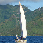 Thumb for Boat Spotters of the Caribbean